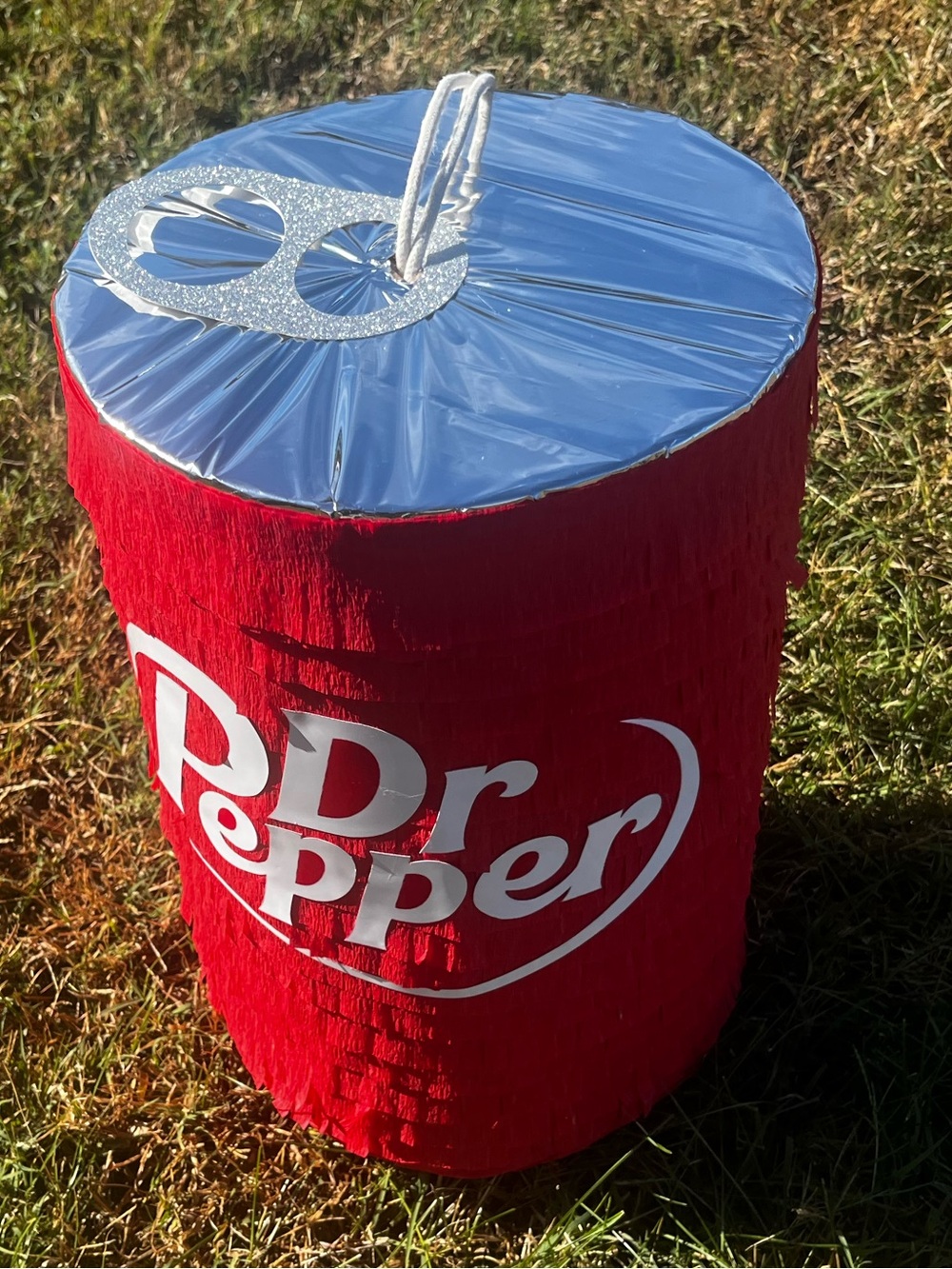 Dr Pepper Can Pinata